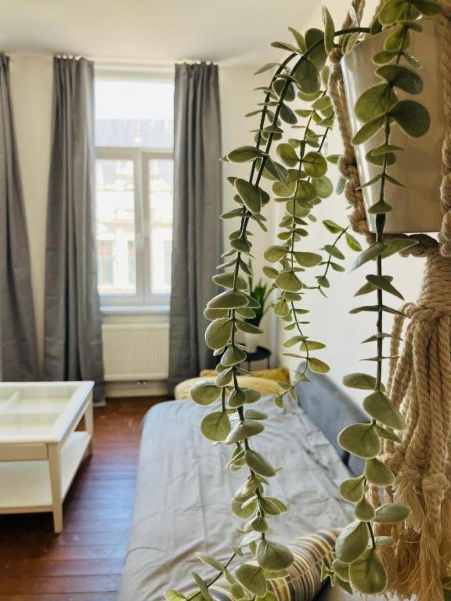 Bnb Suikernest Antuérpia Exterior foto